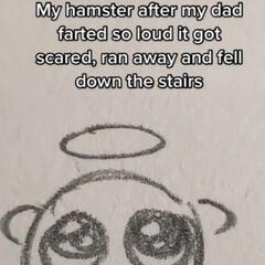 I die every time I see this image